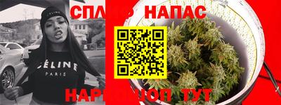 apvp Дубна