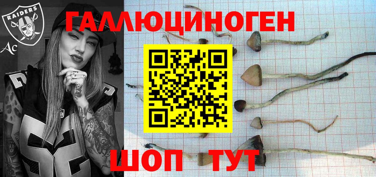 Галлюциногенные грибы MAGIC MUSHROOMS Мытищи